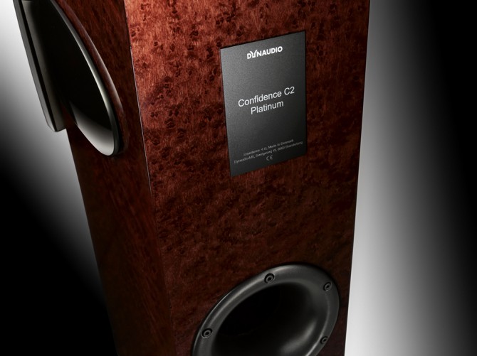 DYN_C2Platinum_detail3