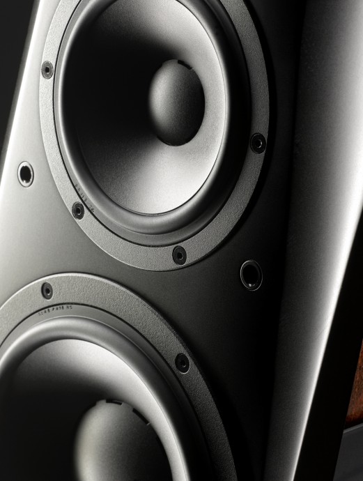 DYN_C4Platinum_detail1