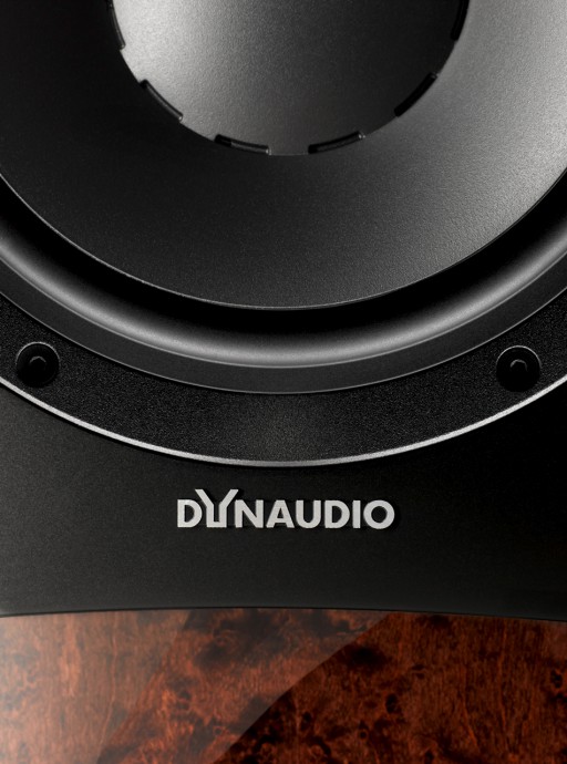 DYN_CPlatinum_detail2