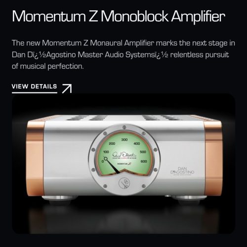 Dan D’Agostino Momentum Z Monoblock Amplifier