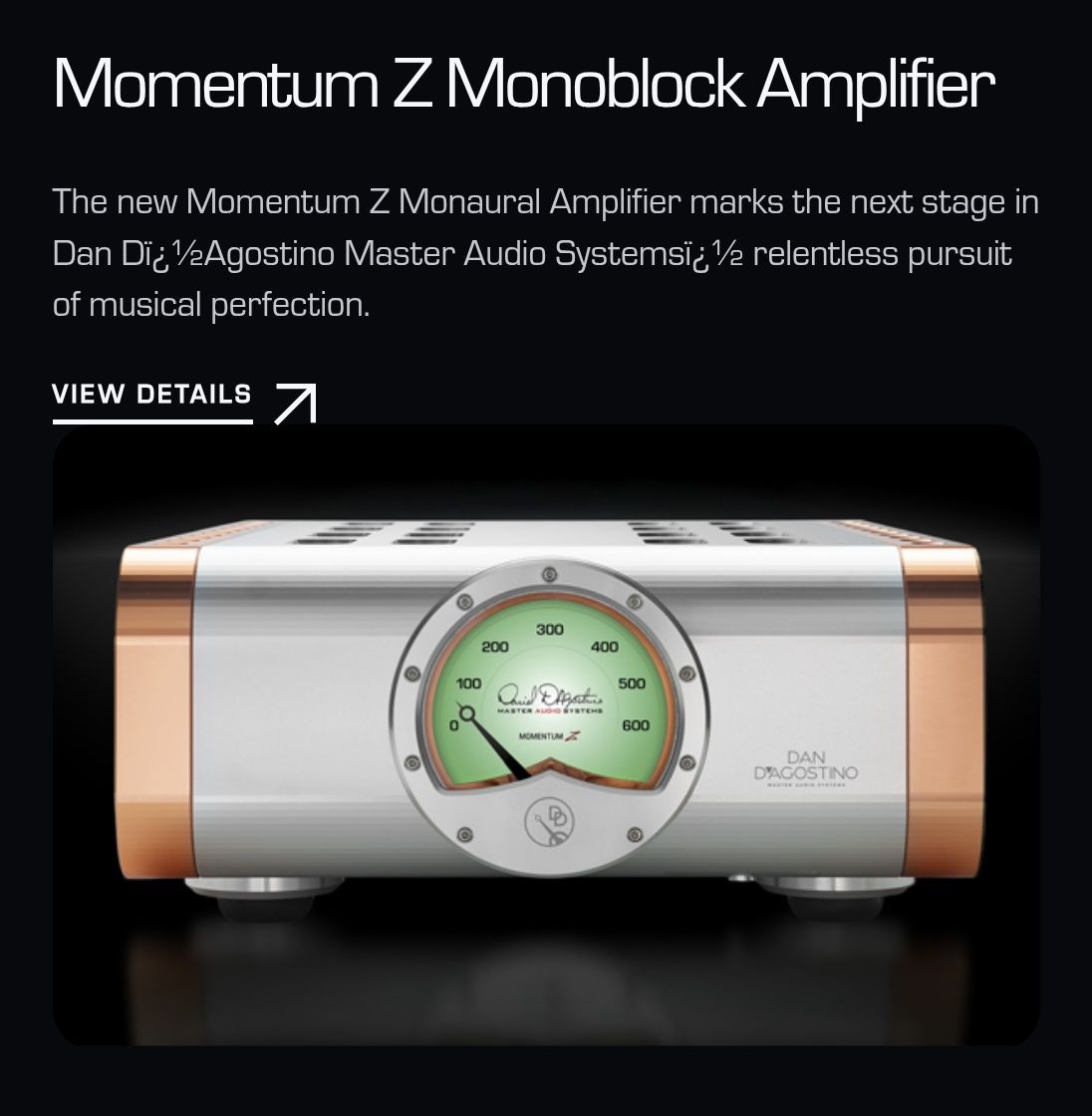 Dan D’Agostino Momentum Z Monoblock Amplifier