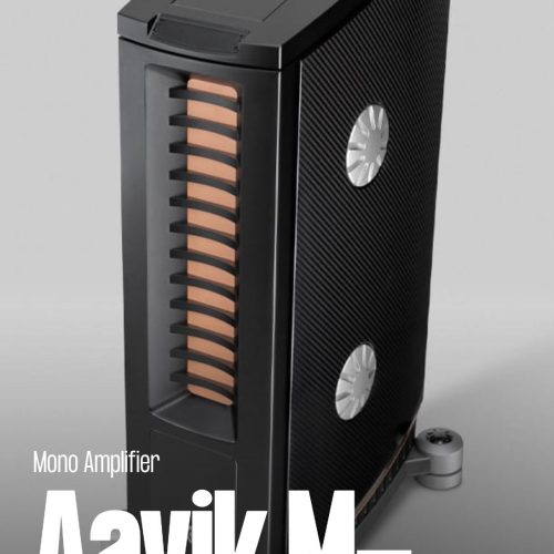 Aavik M-880 Mono Amplifier